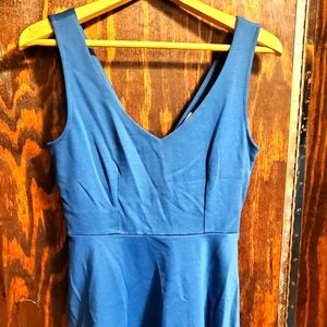 Black Swan - Small Blue Dress